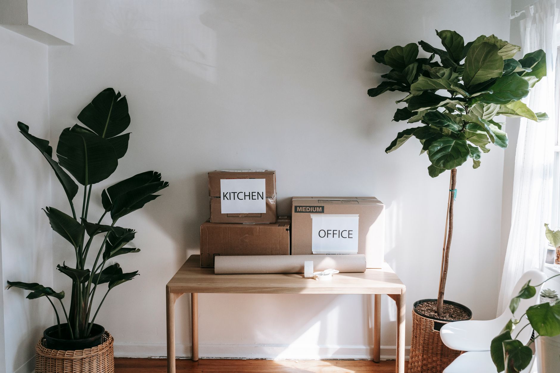 How to Choose the Best Move-Out Cleaning Service in Kyiv