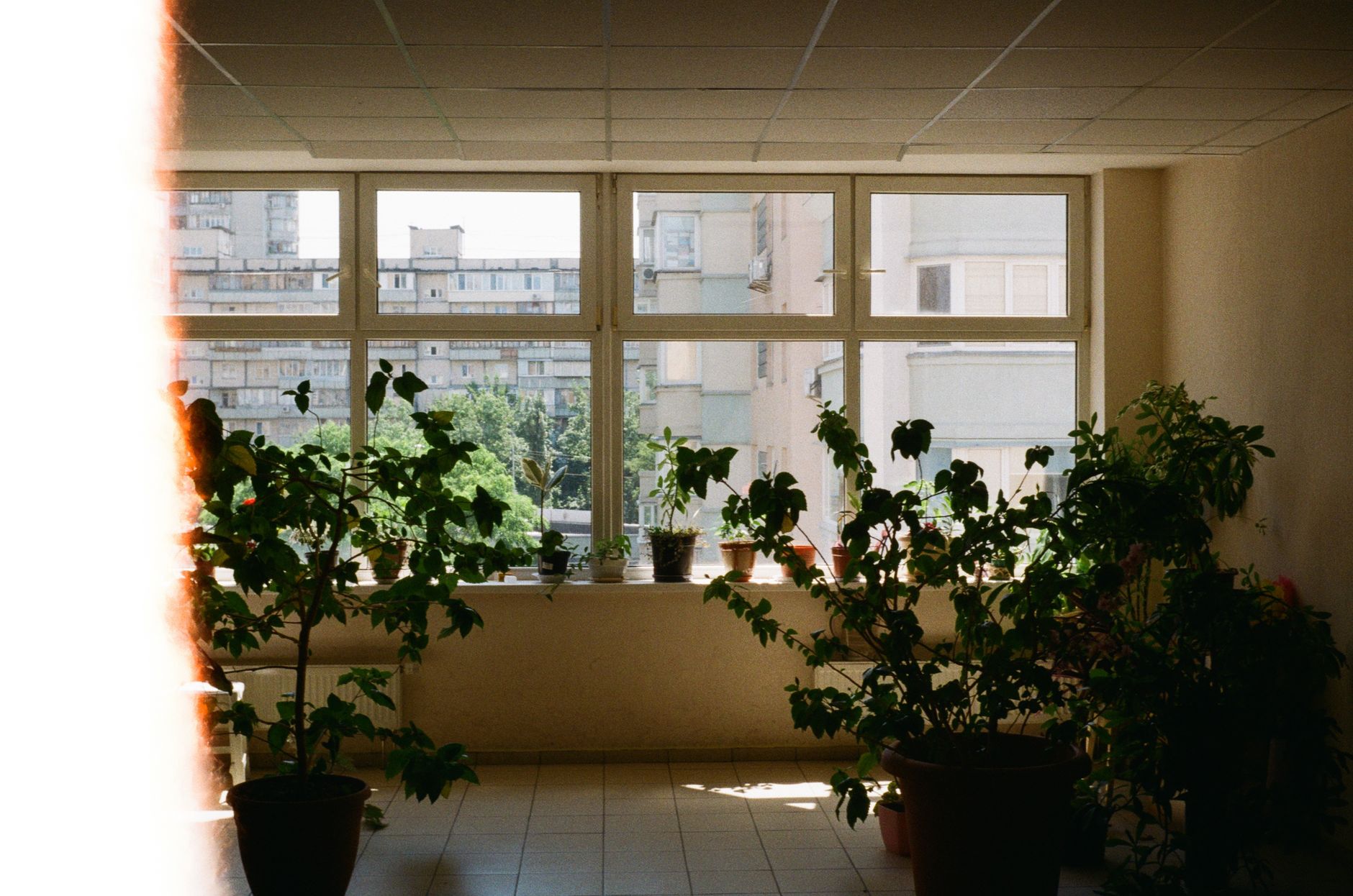 Preparing Your Kyiv Rental Apartment for Professional Cleaning Services